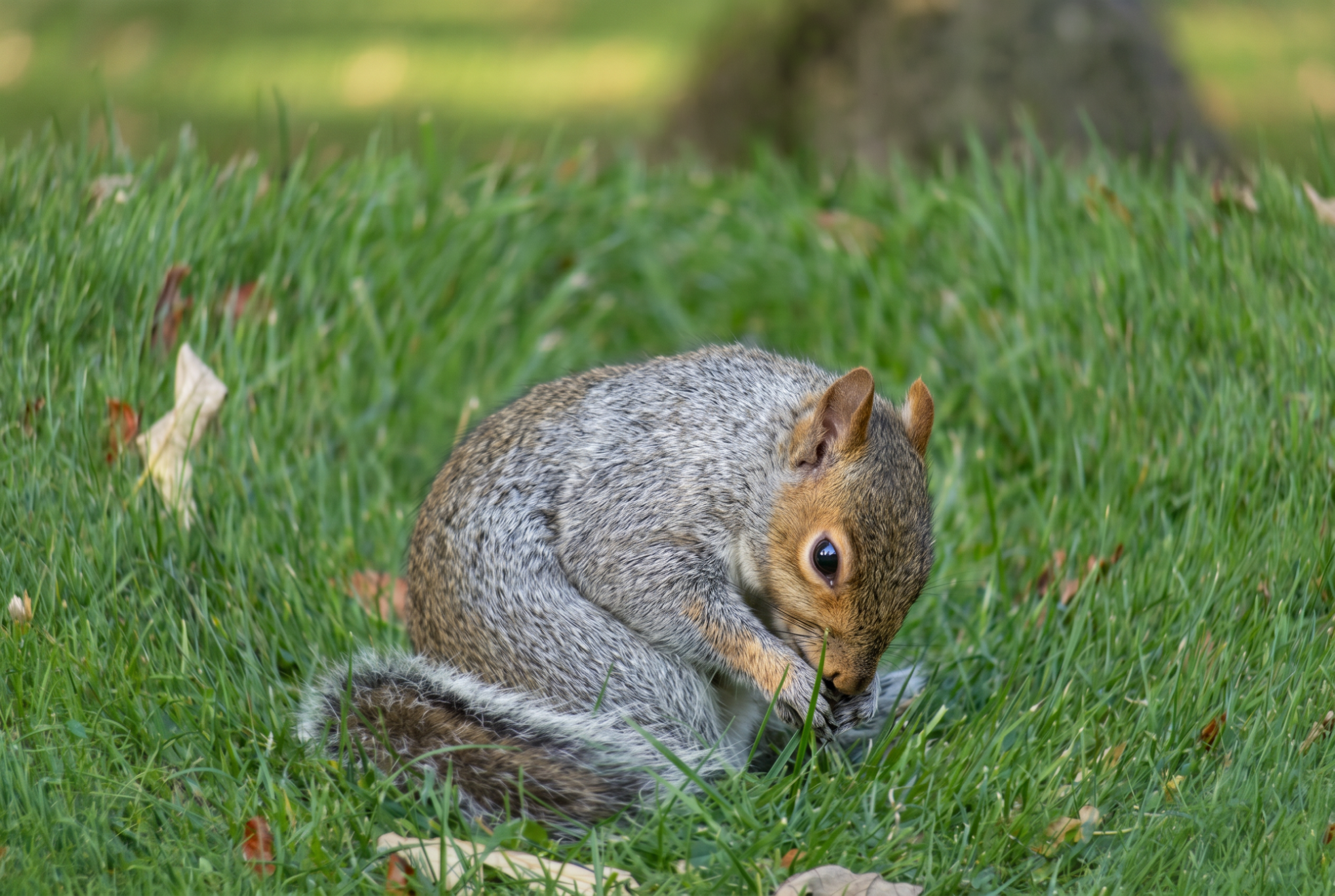 IMG_3005.png