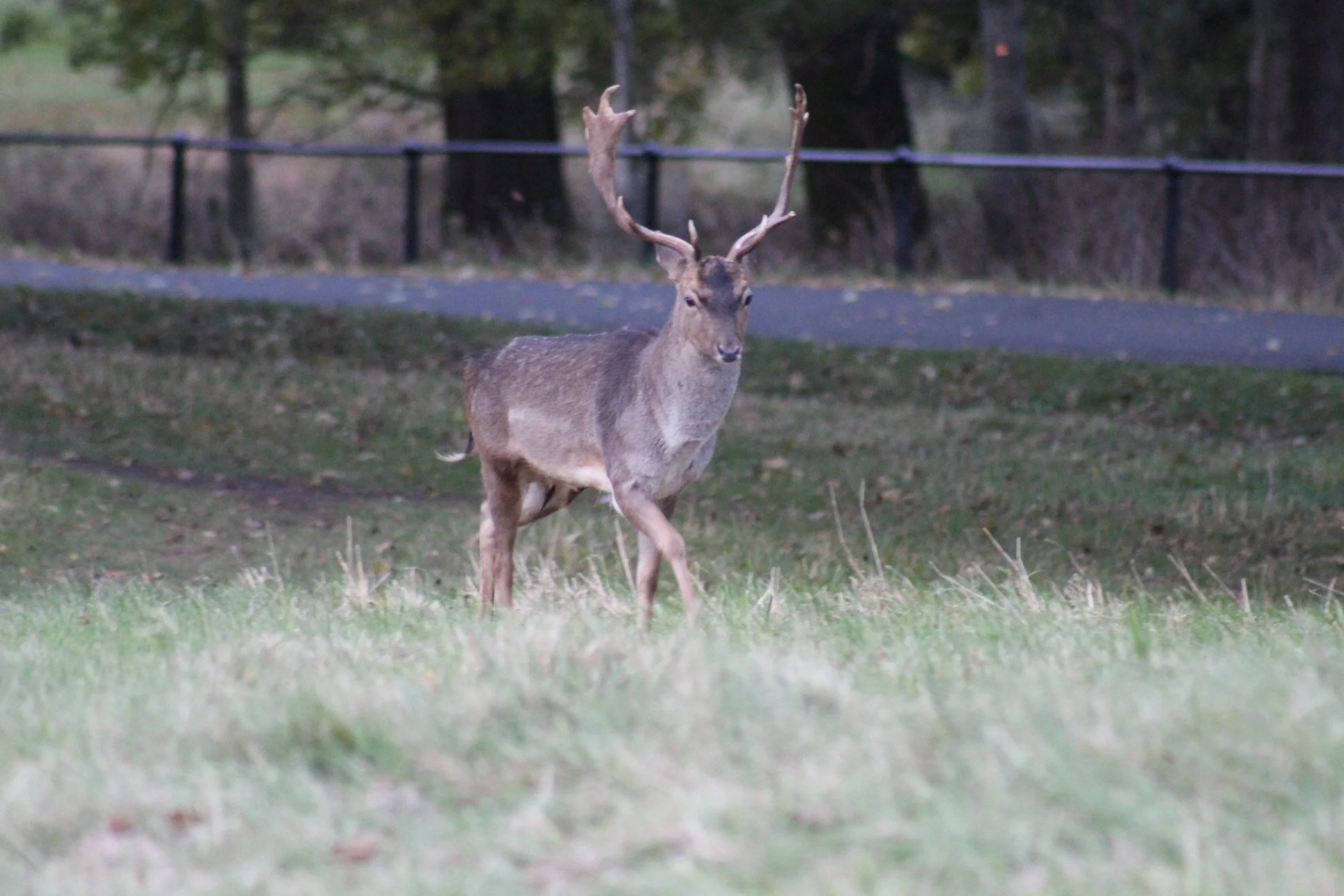 IMG_0538_edited.jpg