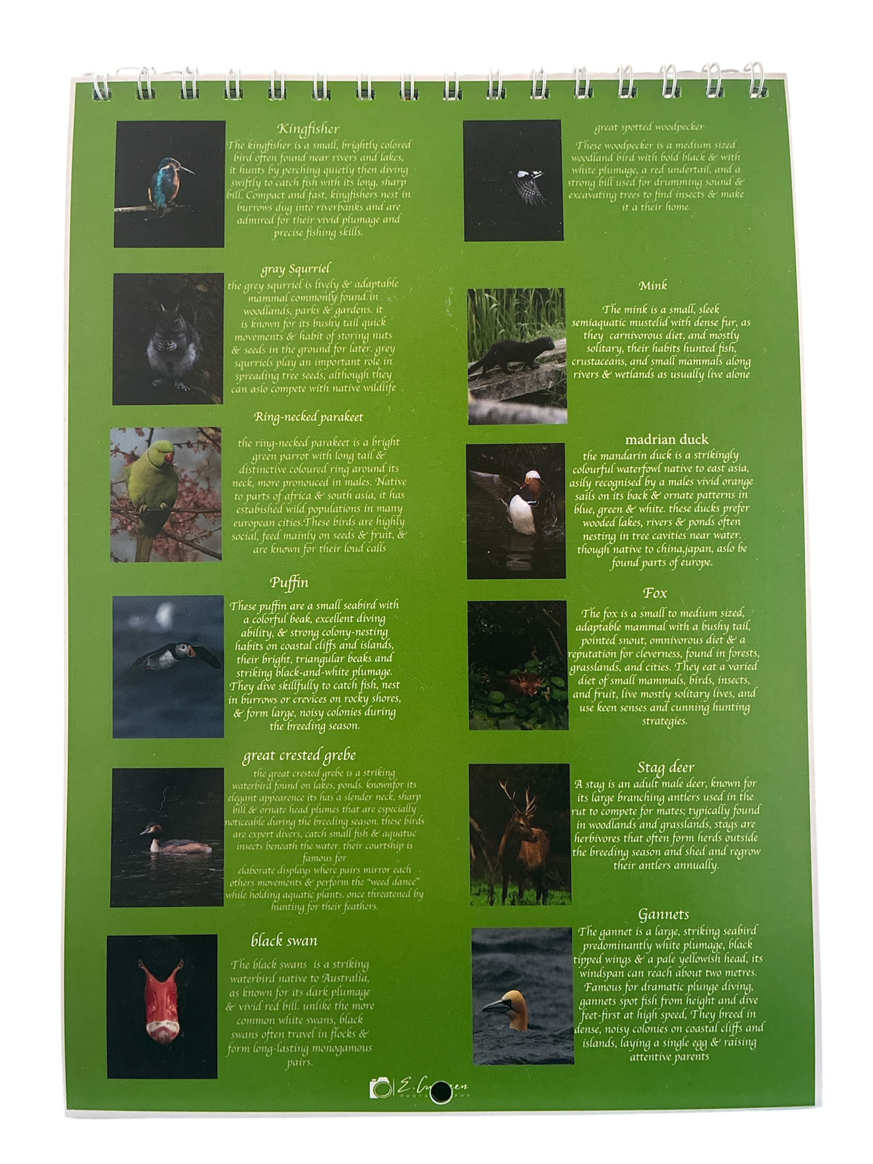 Photoroom_20260520_155040.PNG