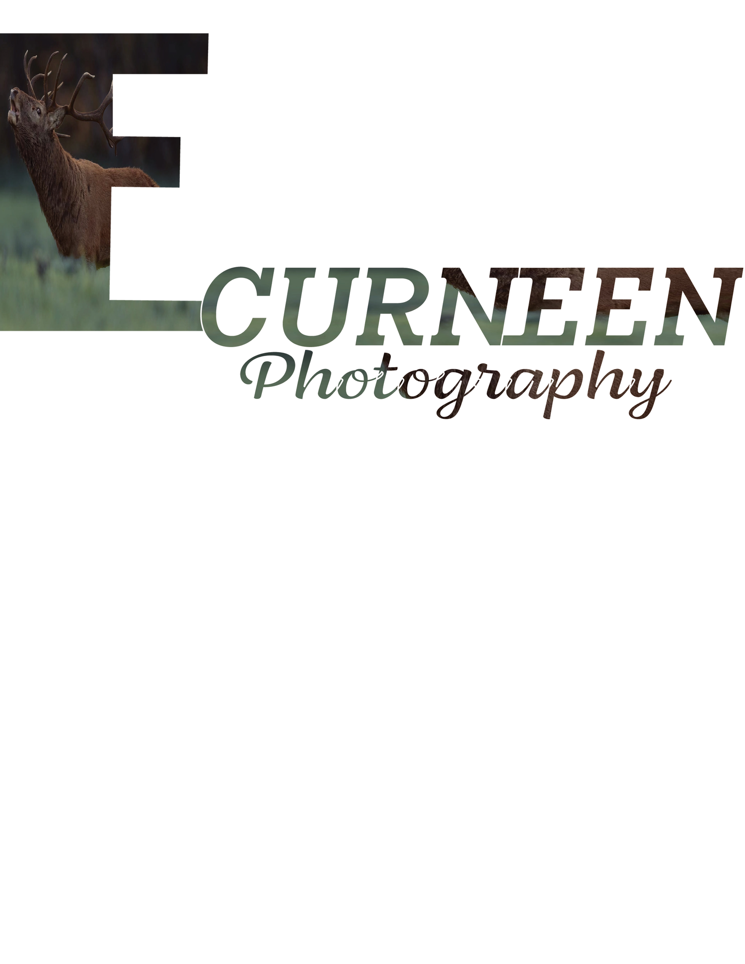 E.Curneen Photography
