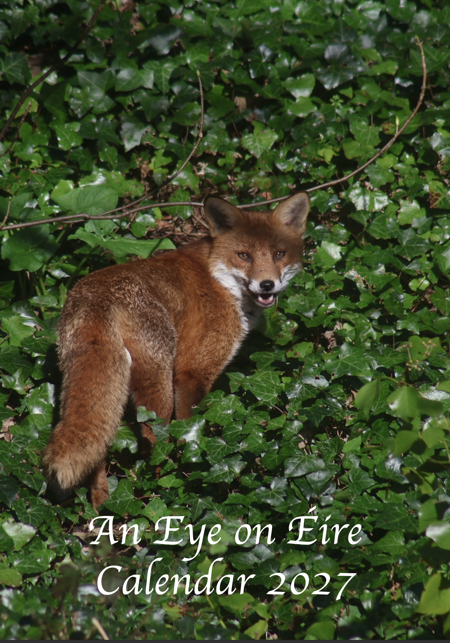 Screenshot 2026-01-09 at 23.49.53.png