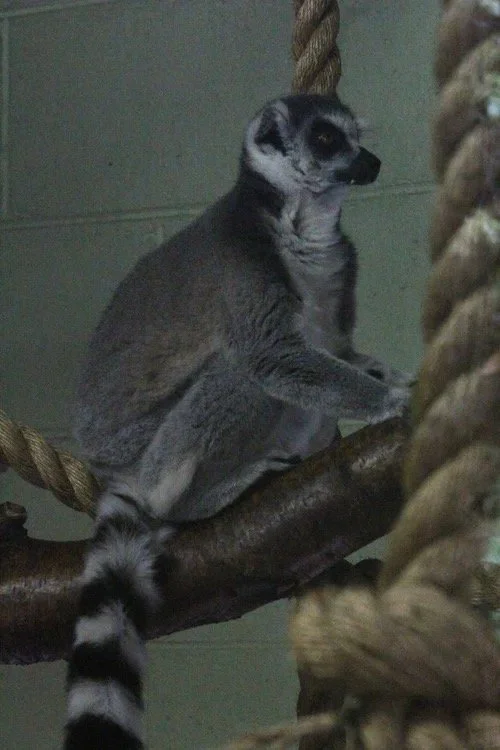 Image 16.jpeg