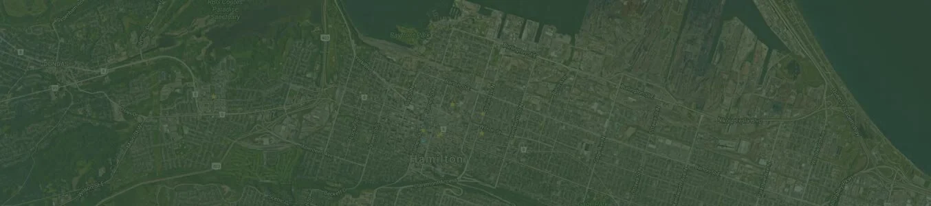 Music brings us together in celebration