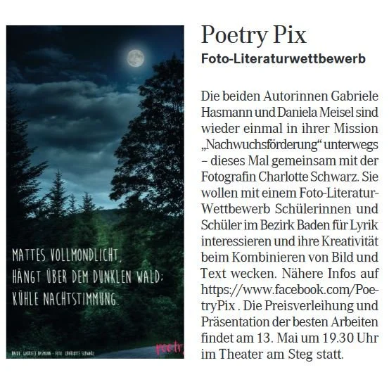 2019 Feb. Badener Zeitung