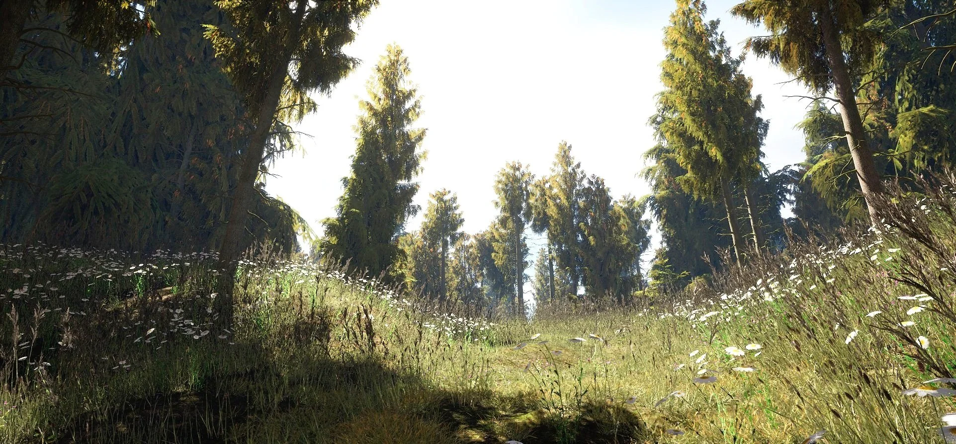 HighresScreenshot00001.jpg