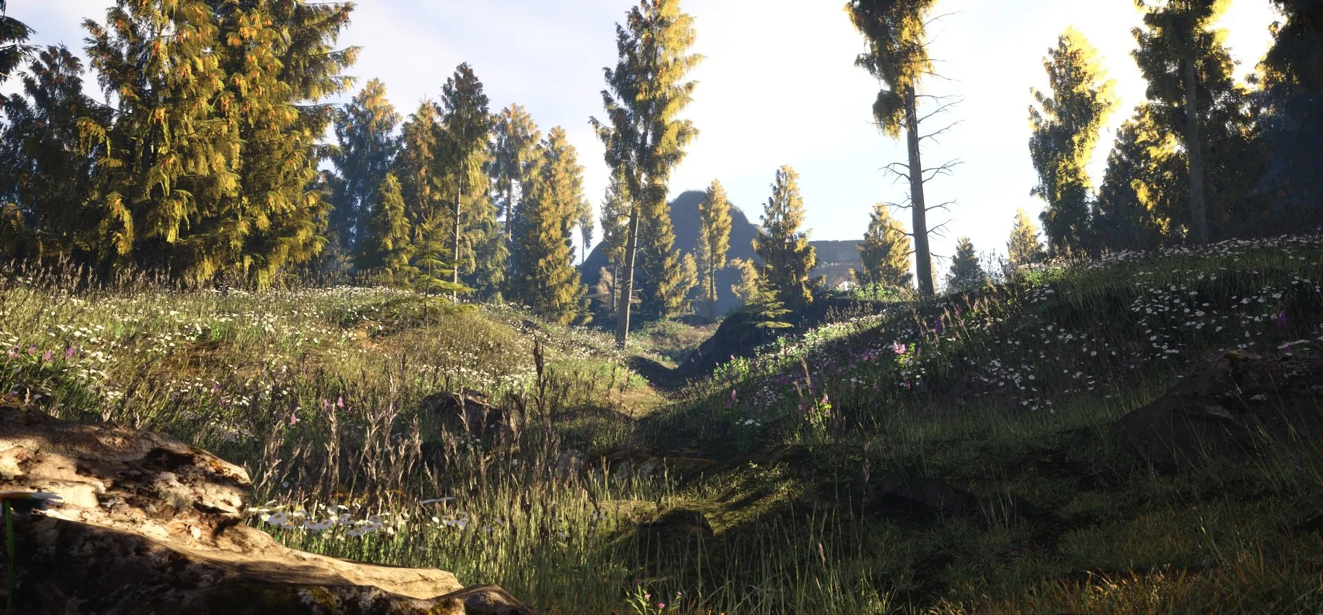 HighresScreenshot00006.jpg
