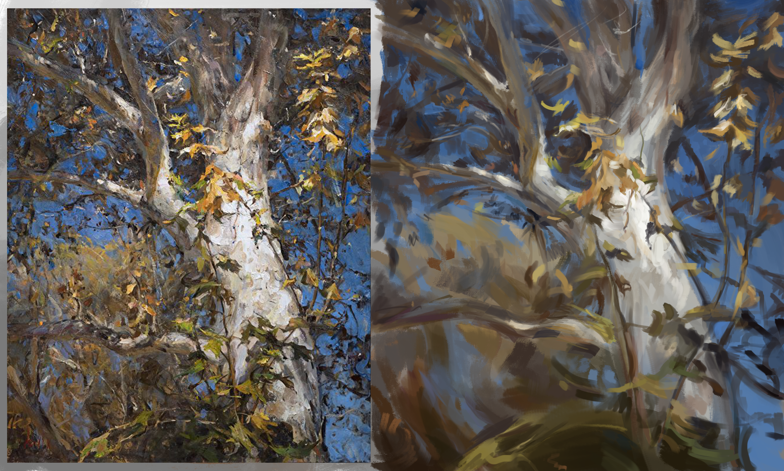yellow tree.png