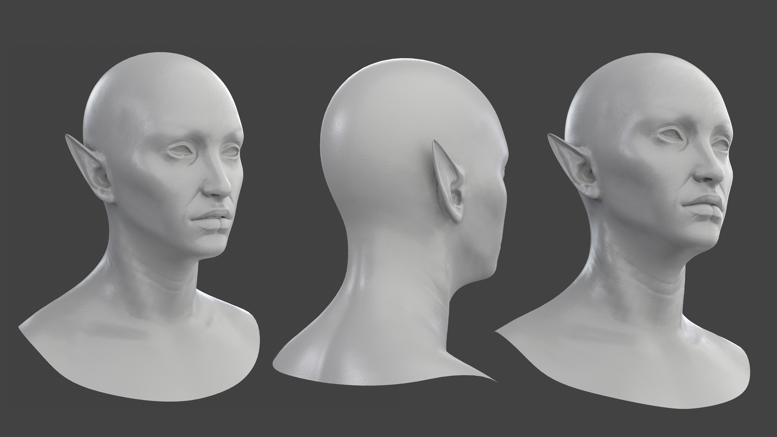 face sculpt made in zbrush and textured in marmoset