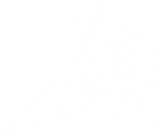White party popper icon representing birthday parties and private art events