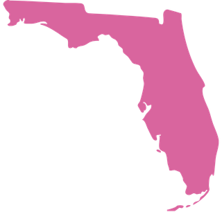 Pink Florida state icon representing Pineapple Picasso’s Cape Coral, Florida roots and its connection to the local creative community.