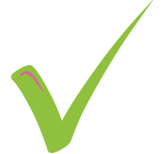 Green check mark icon indicating a completed step or available option