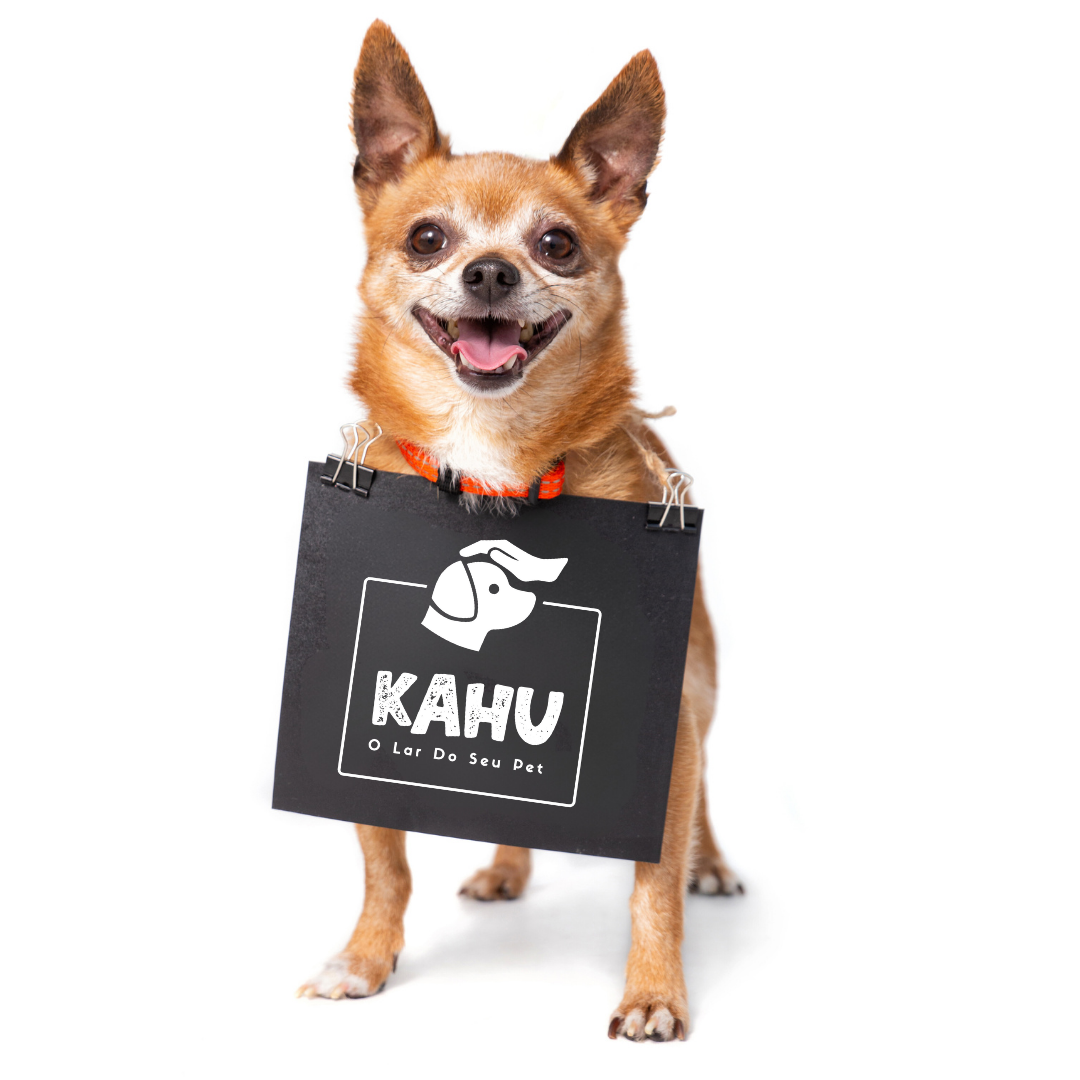 KAHU - O lar do seu pet | Creche, hotel, banho e tosa, coworking pet ...
