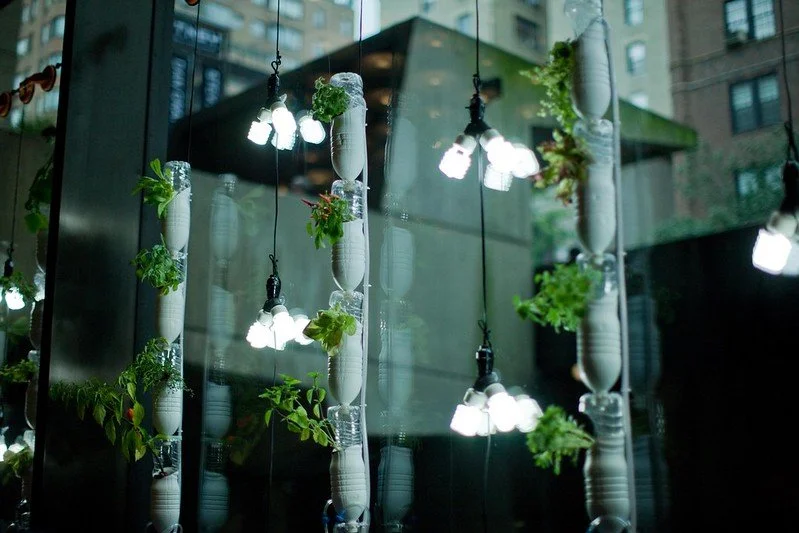 American Public Windowfarm at the Whitney Museum of American Art, Photo credit: Po Ewing 
