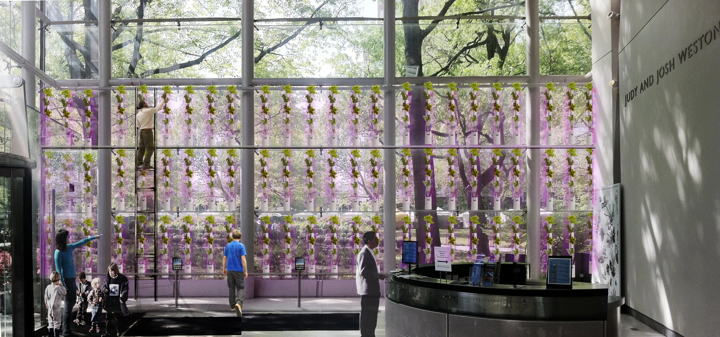 AMNH Weston3levels_edited.jpeg