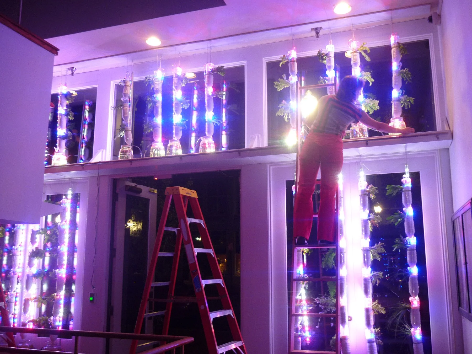 @Brittariley installing the Louisville Public Windowfarm #Discoplants! Photo credit: Pirapha Thongtavee