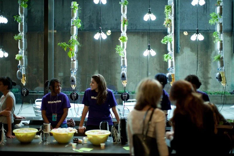 windowfarms whitney po ewing 2.jpeg