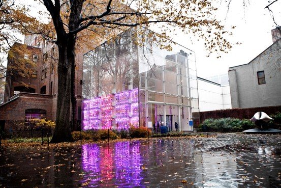 NYC Public Windowfarm at the American Museum of Natural History, part of the  Our Global Kitchen: Food Nature Culture (Photo: Natalie Keyssar for Wall Stree Journal Article: Ralph Gardiner Jr. "Windows to Produce" Nov 27 2012) 