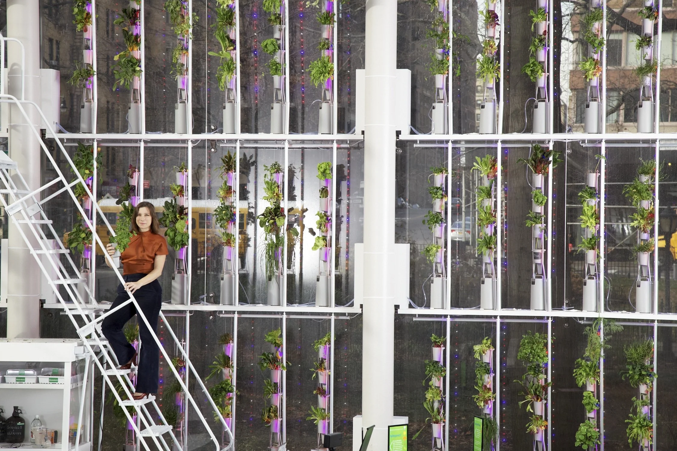 @BrittaRiley with the NYC Public Windowfarm at the American Museum of Natural History, part of the  Our Global Kitchen: Food Nature Culture (Photo: Justin Steele Article: ) 
LINKS
https://www.amnh.org/exhibitions/our-global-kitchen-food-nature-cultur