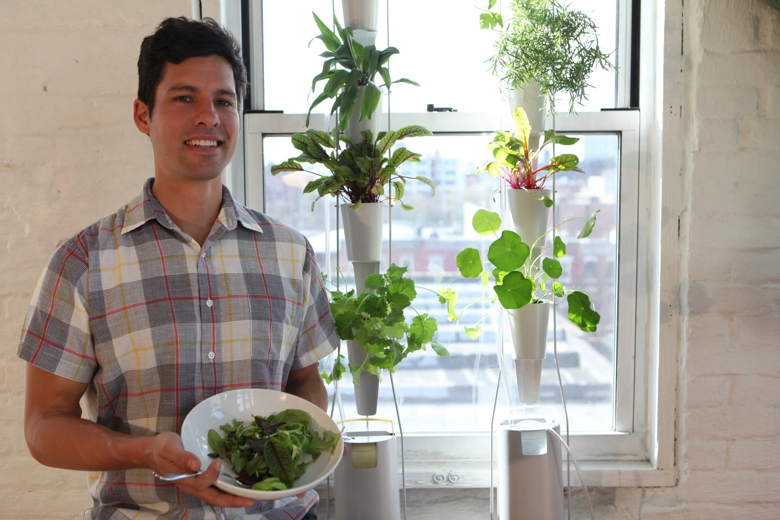 @Glen harvests a salad