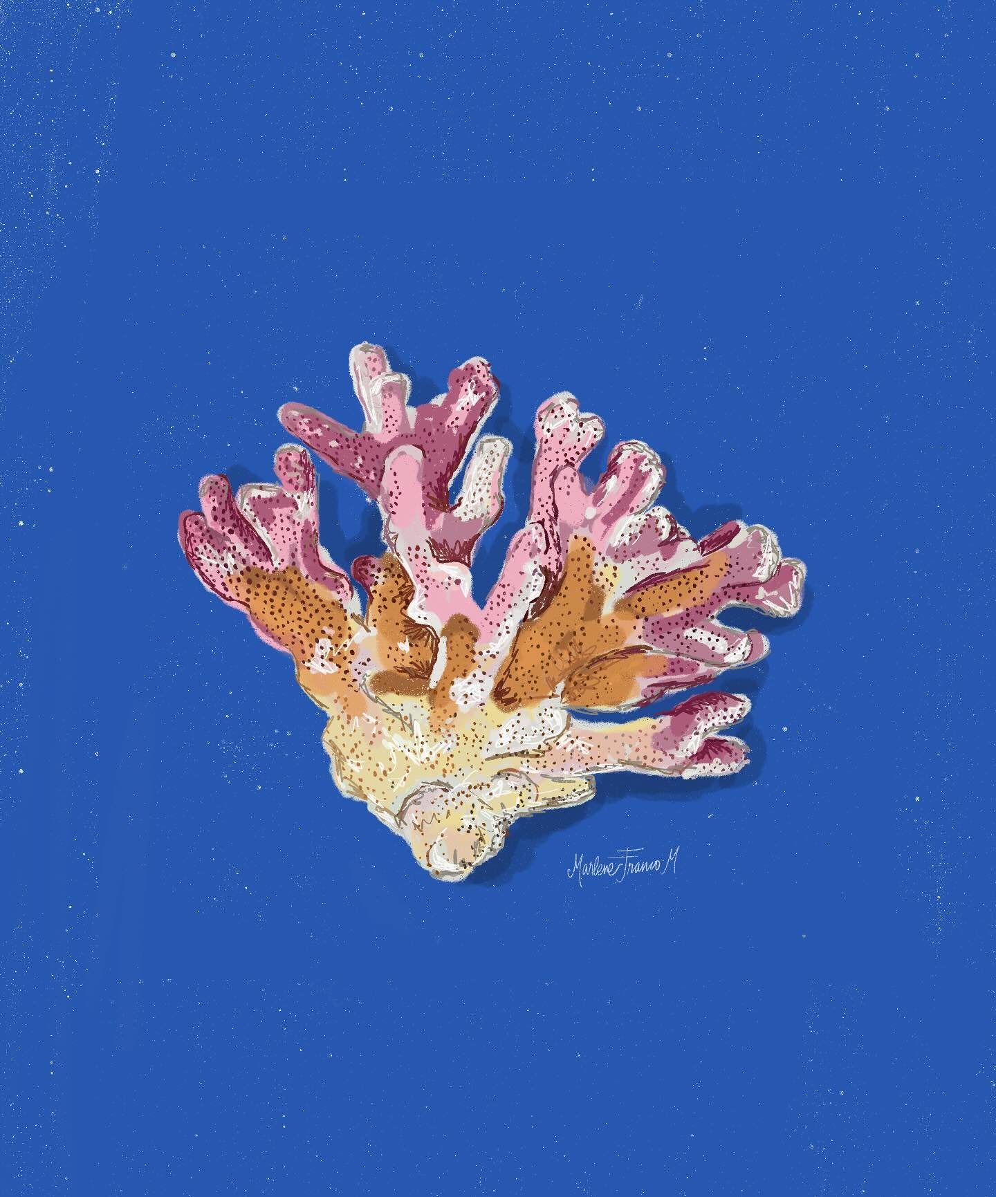 Inspired by my love for coral reefs 🪸 I finally gave Procreate a try and I&rsquo;m going to throw myself some flowers because this is my first decent illustration and I&rsquo;m pretty happy with it 💐👏🏽

The truth is, I&rsquo;ve been feeling a bit