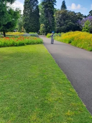 Garden Maintenance.jpg