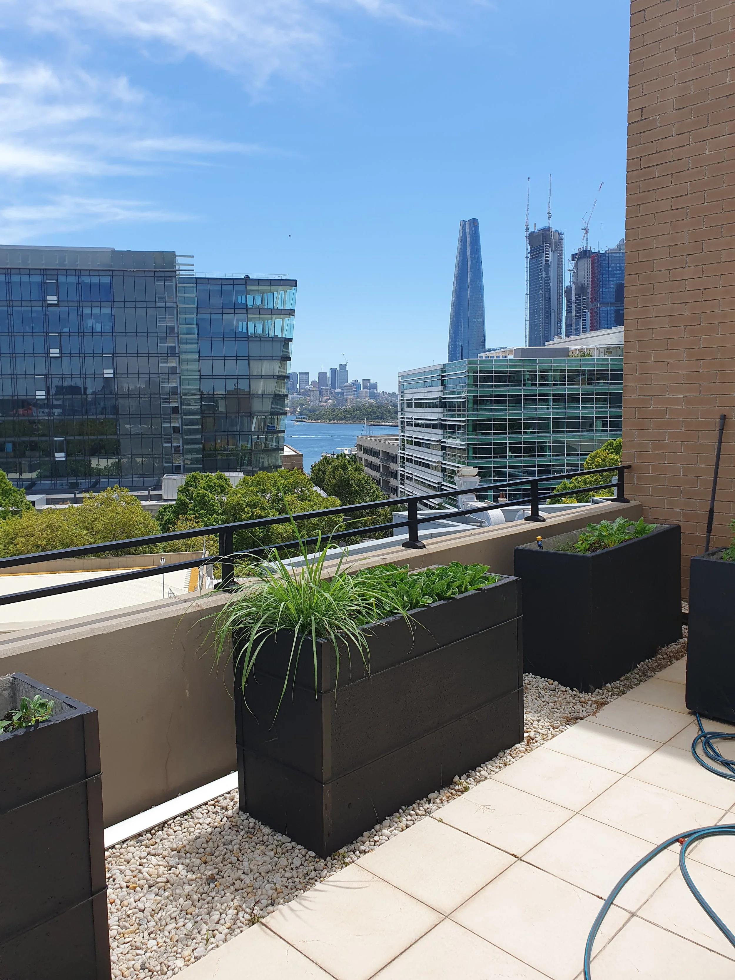 garden pots planting.jpg