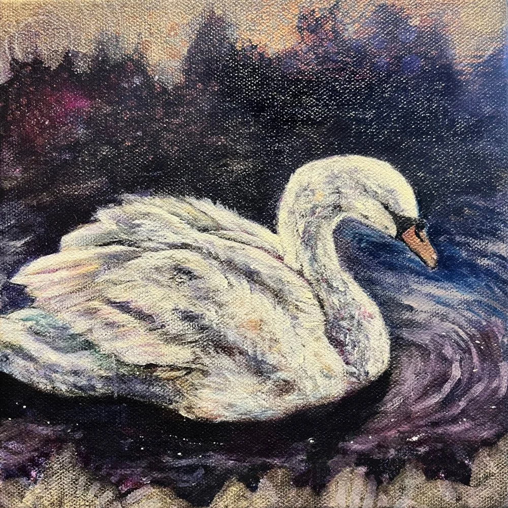 swan.jpg