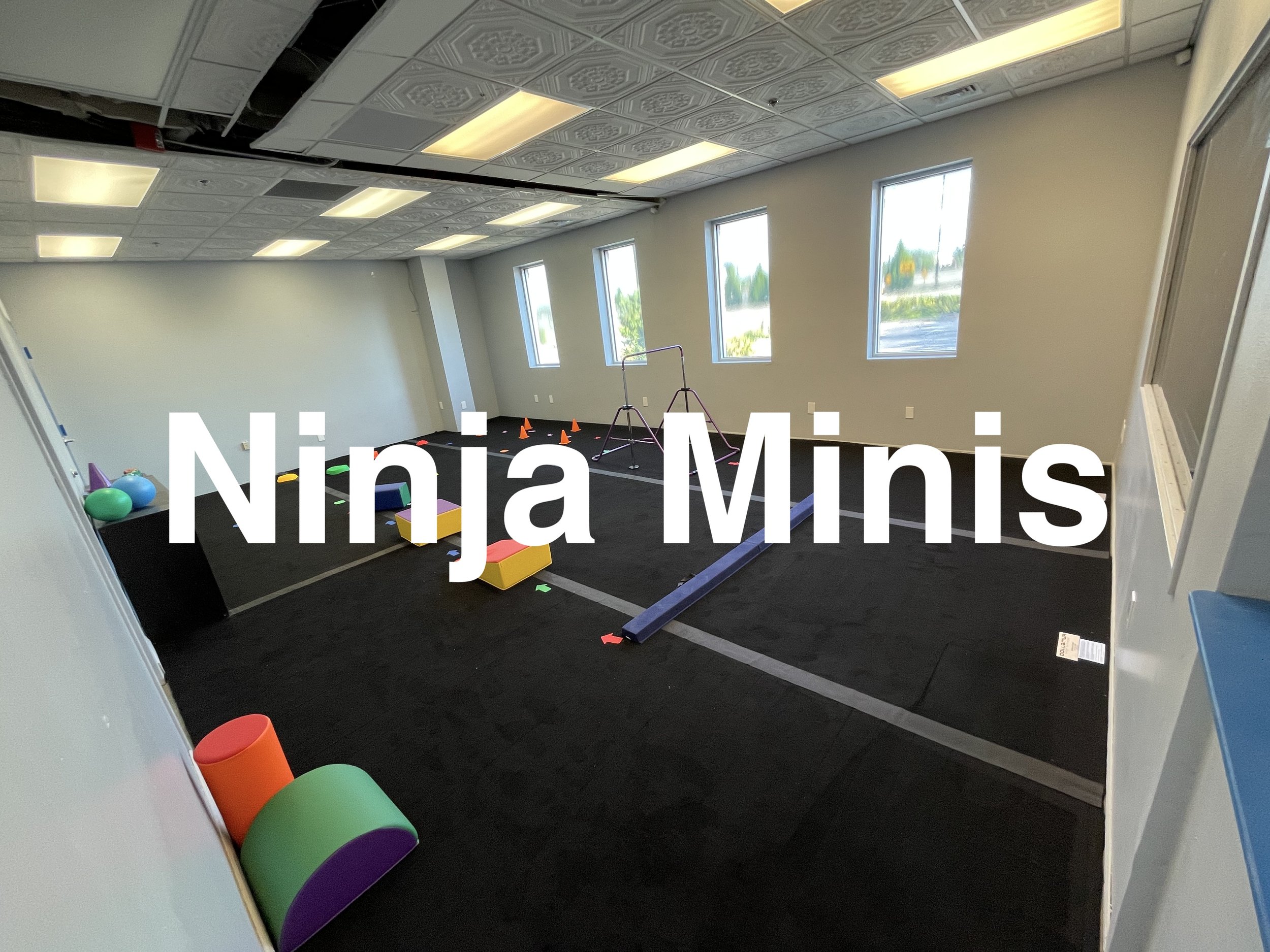 Four Star Ninja Academy - Ninja, Gym