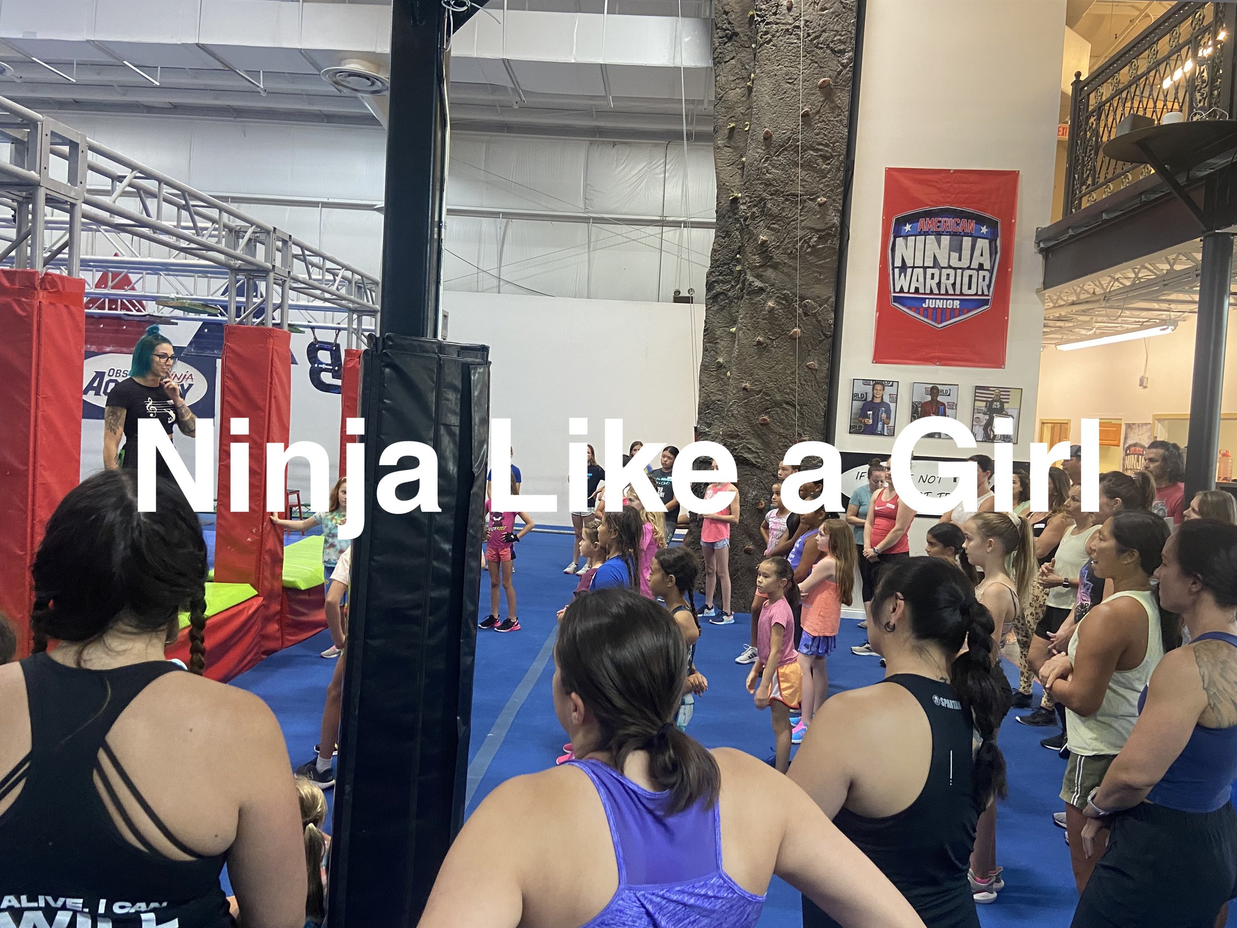 The Fit Ninja