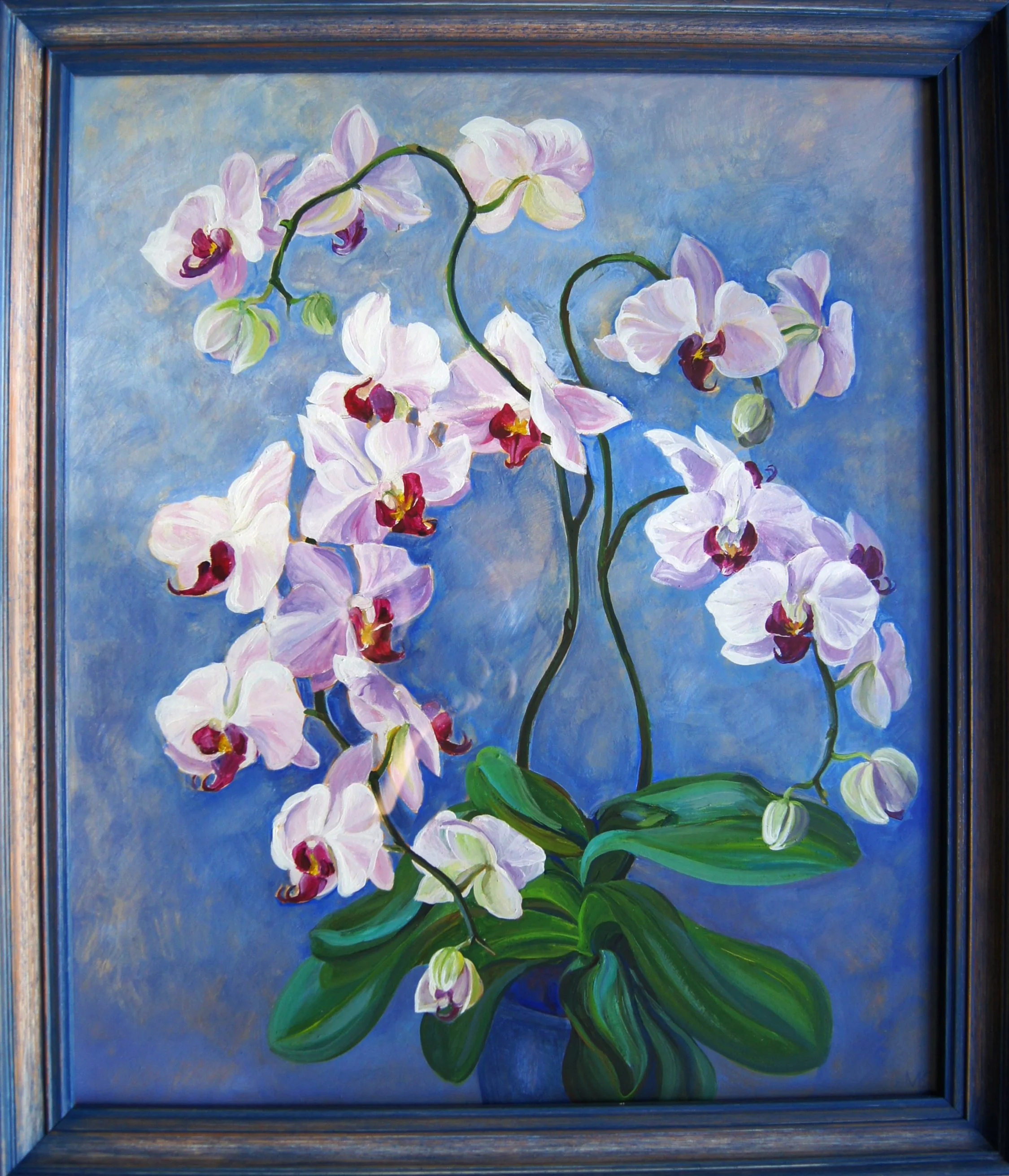 Orchid