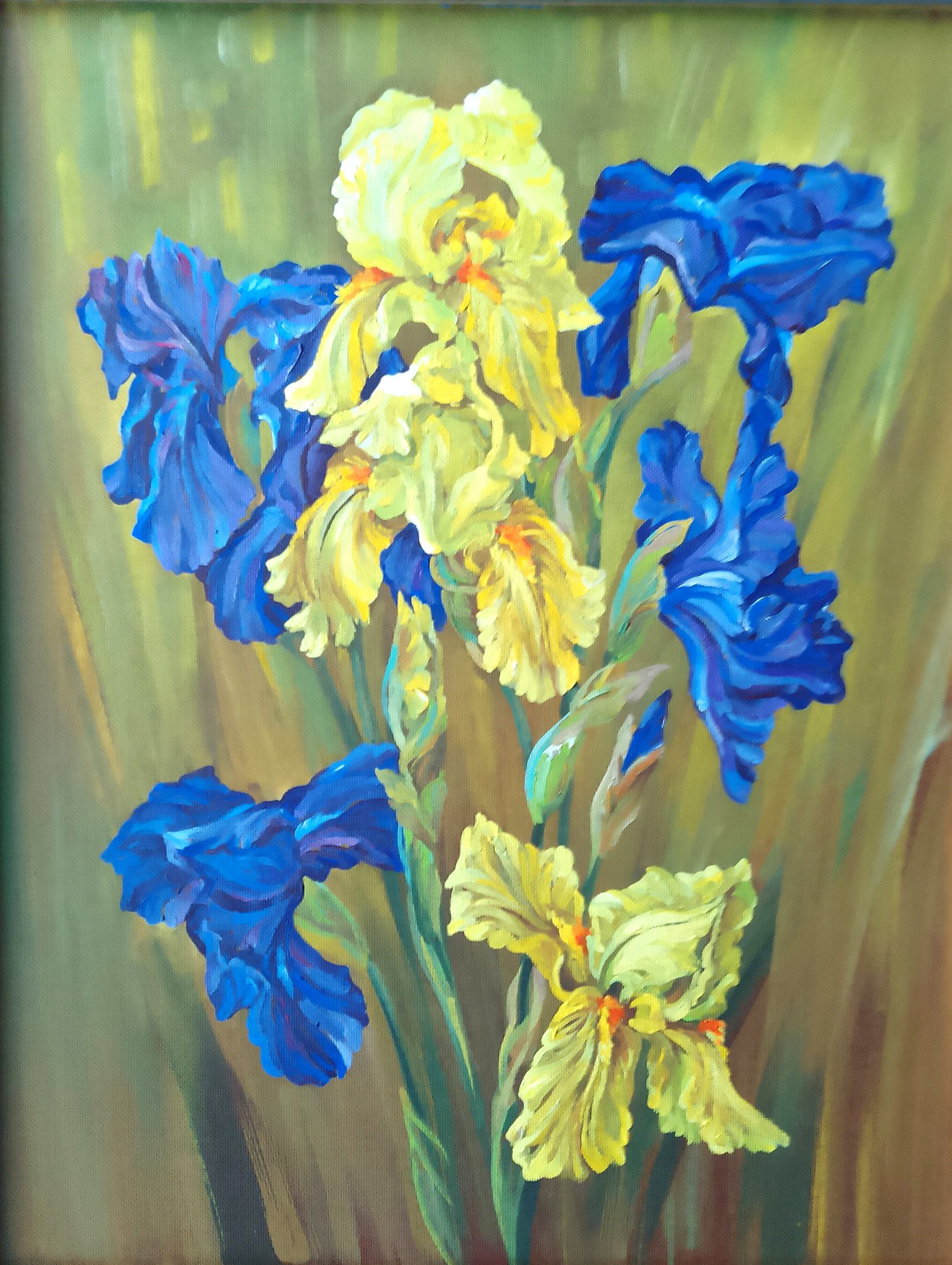 Irises are Blooming Again