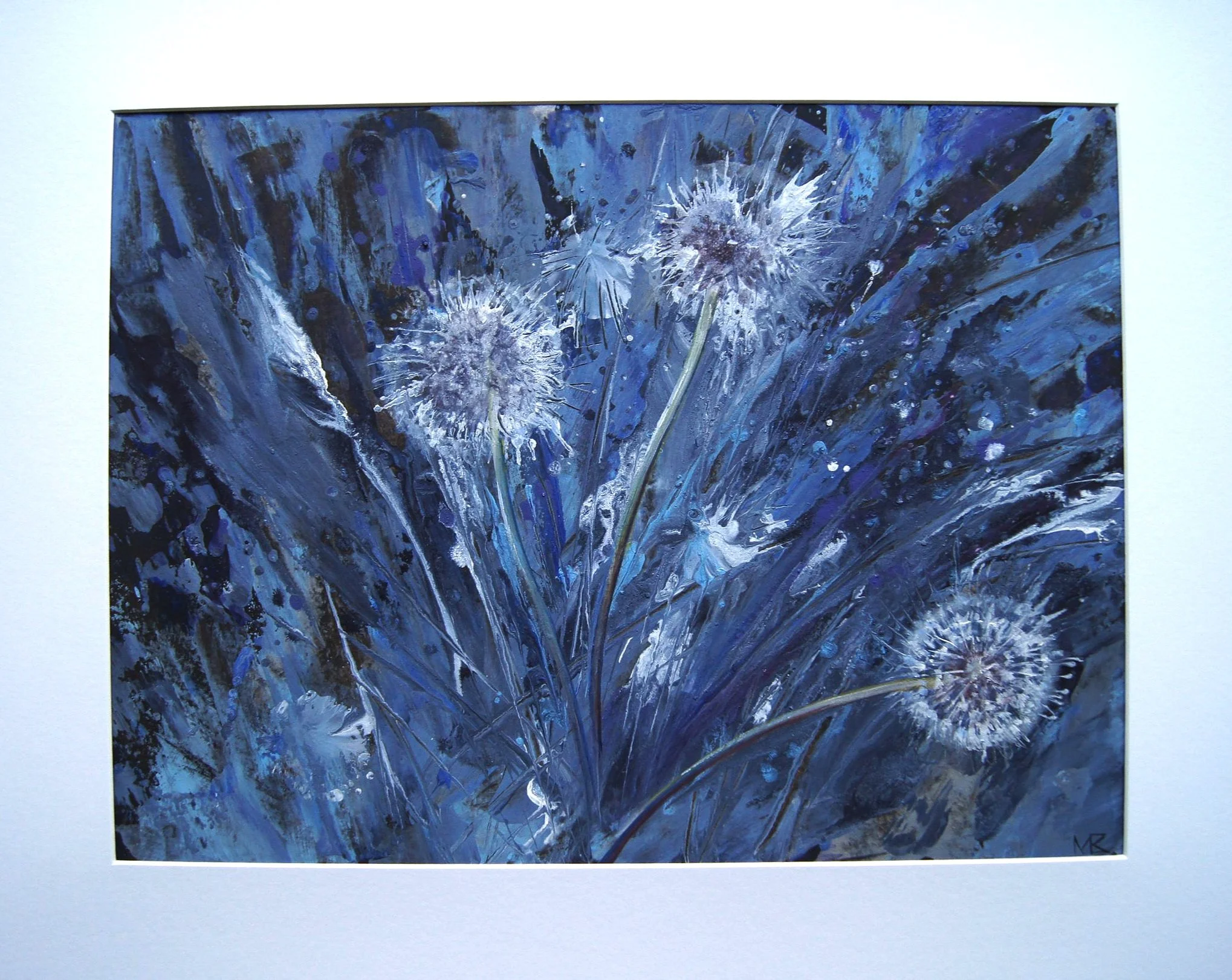 Evening Dandelions 