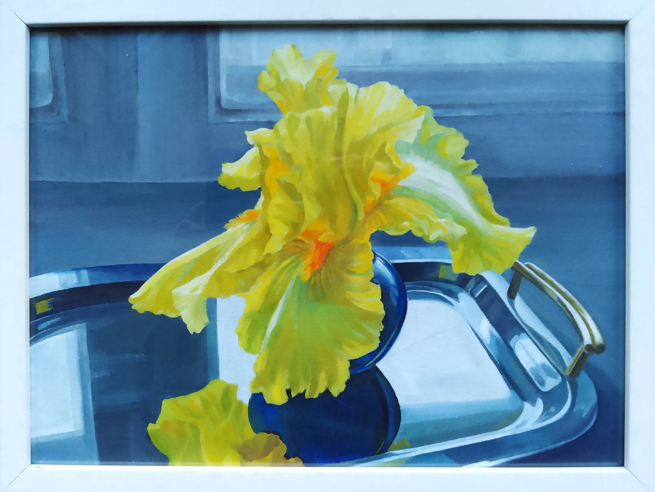 Yellow Iris