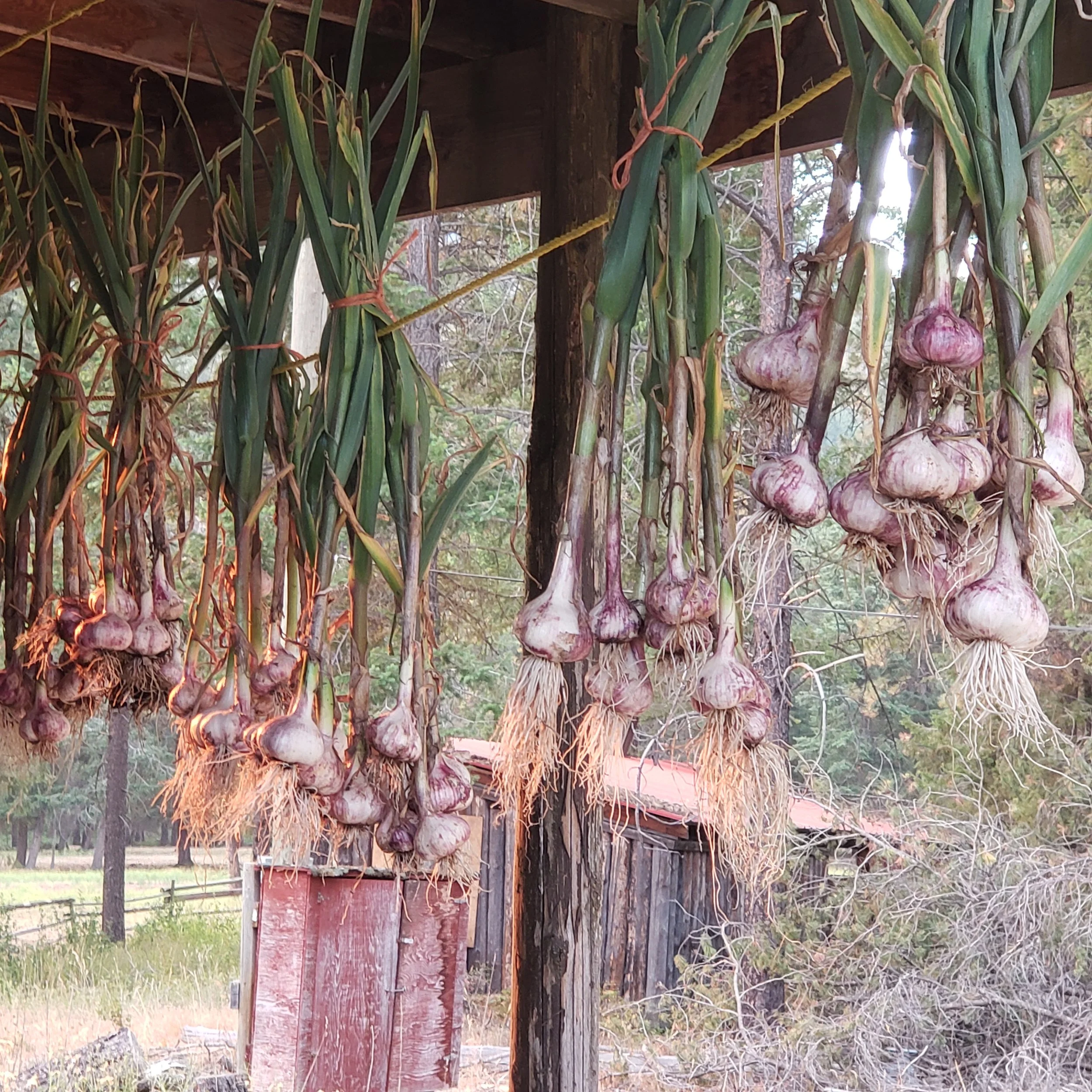 20210718_185531.jpg