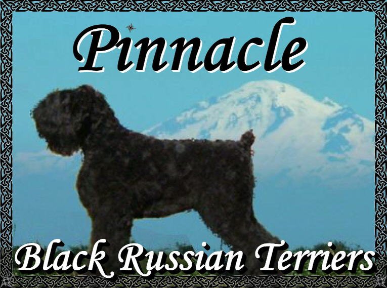 Pinnacle Pups