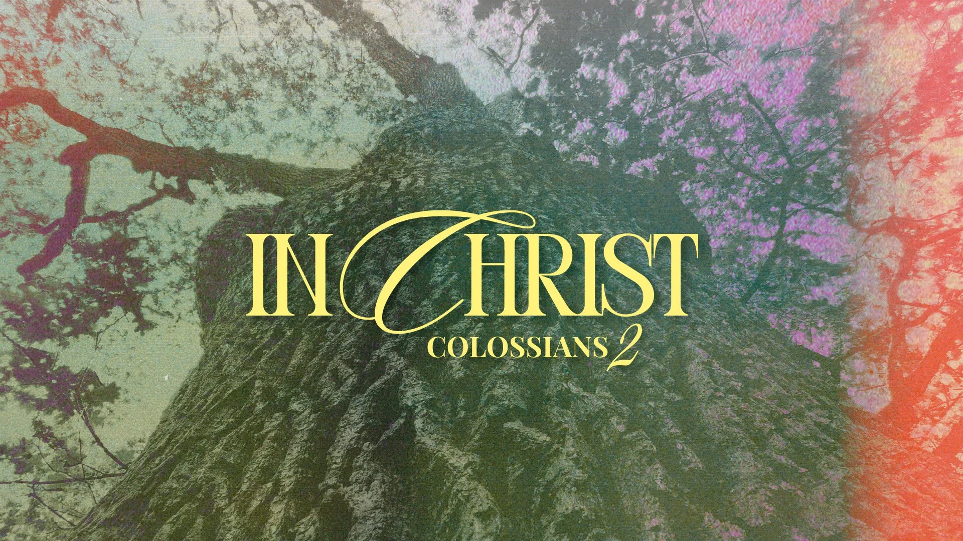 In Christ