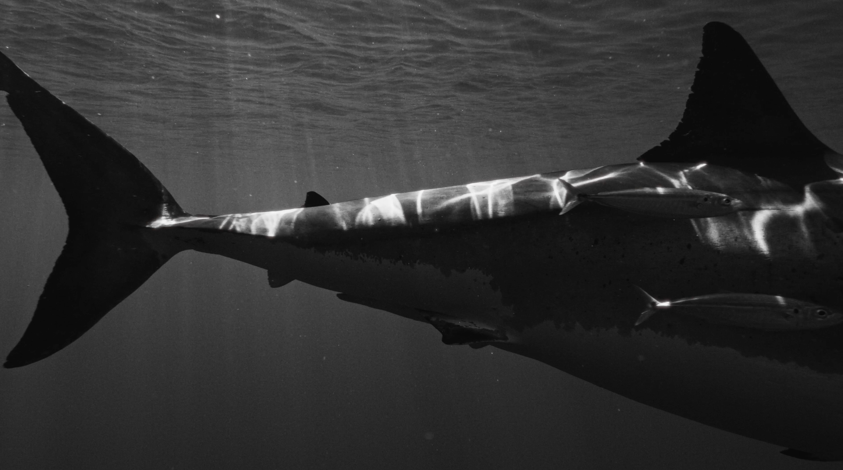 Screenshot 2026-04-12 at 12.27.55 PM.png