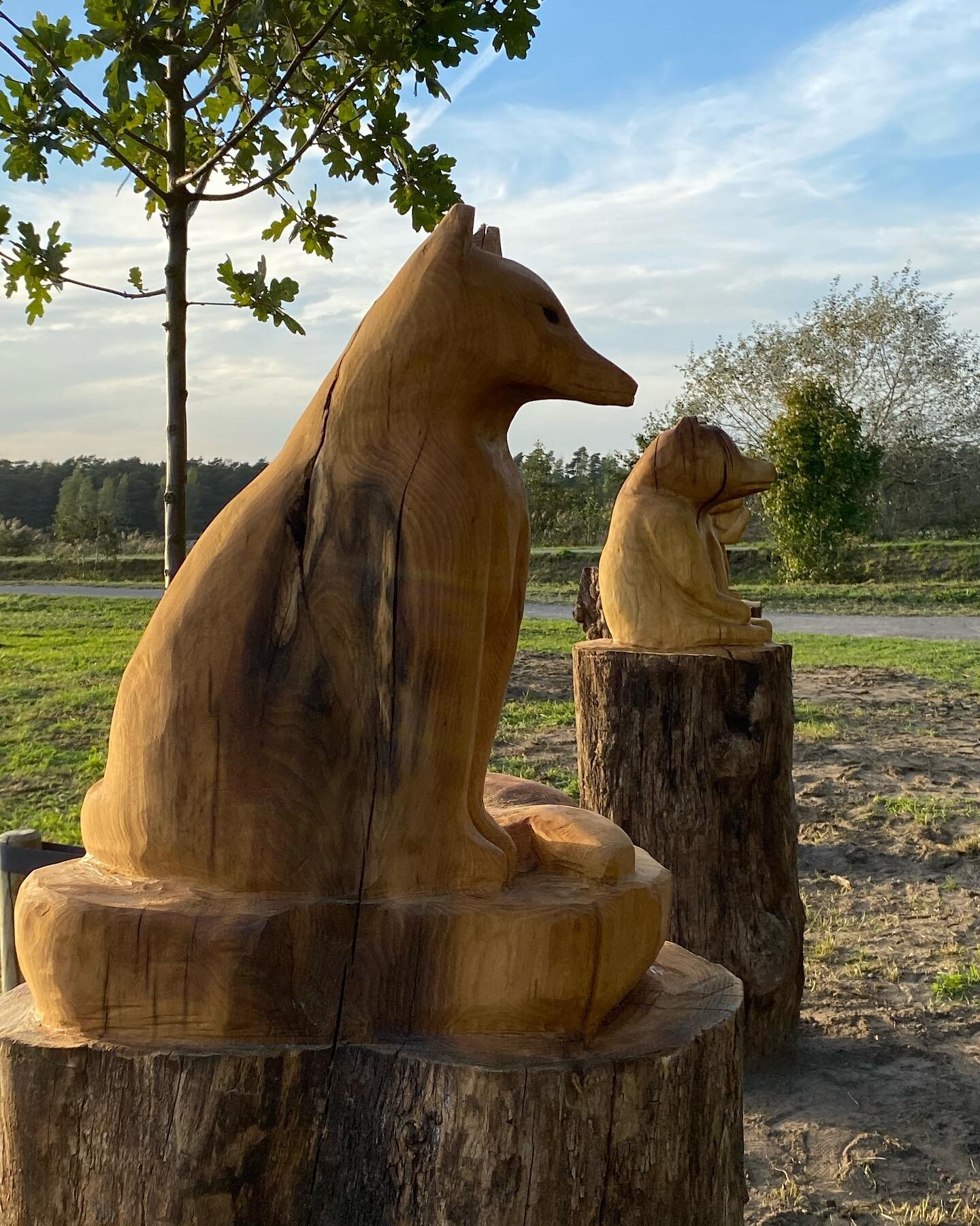 Vandaag 7 beelden uit het Reynaert verhaal onthuld voor het nieuwe rustpunt &ldquo;Reynaert aan de vaart&rdquo; aan het pompgemaal Fondatibeek in Sinaai.
#Houtbewerking #hout #houtsnijwerk #woodsculpture #woodsculptures #houtbewerken #houtkunst #hout