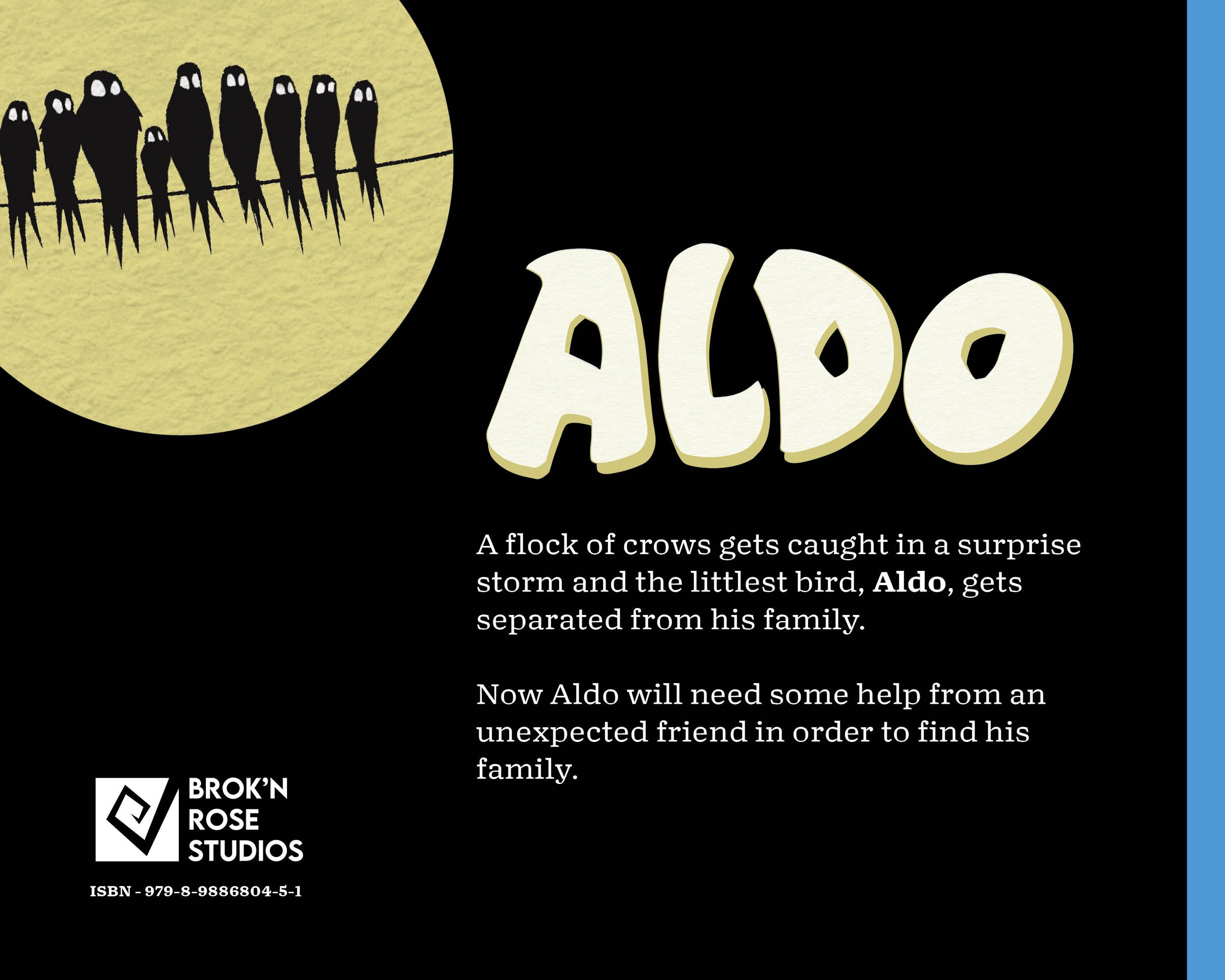 ALDO_ChrisBoyle_FullBook_8x10_102024 - SOFTCover44.jpg