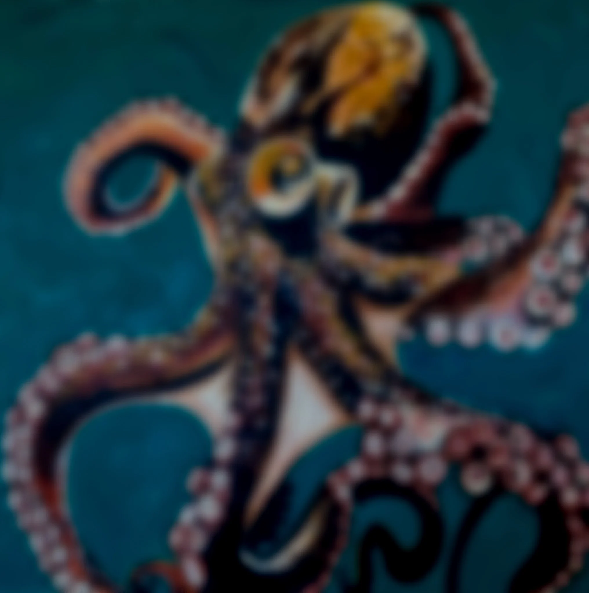 Blurred image of an octopus with outstretched tentacles on a dark background.