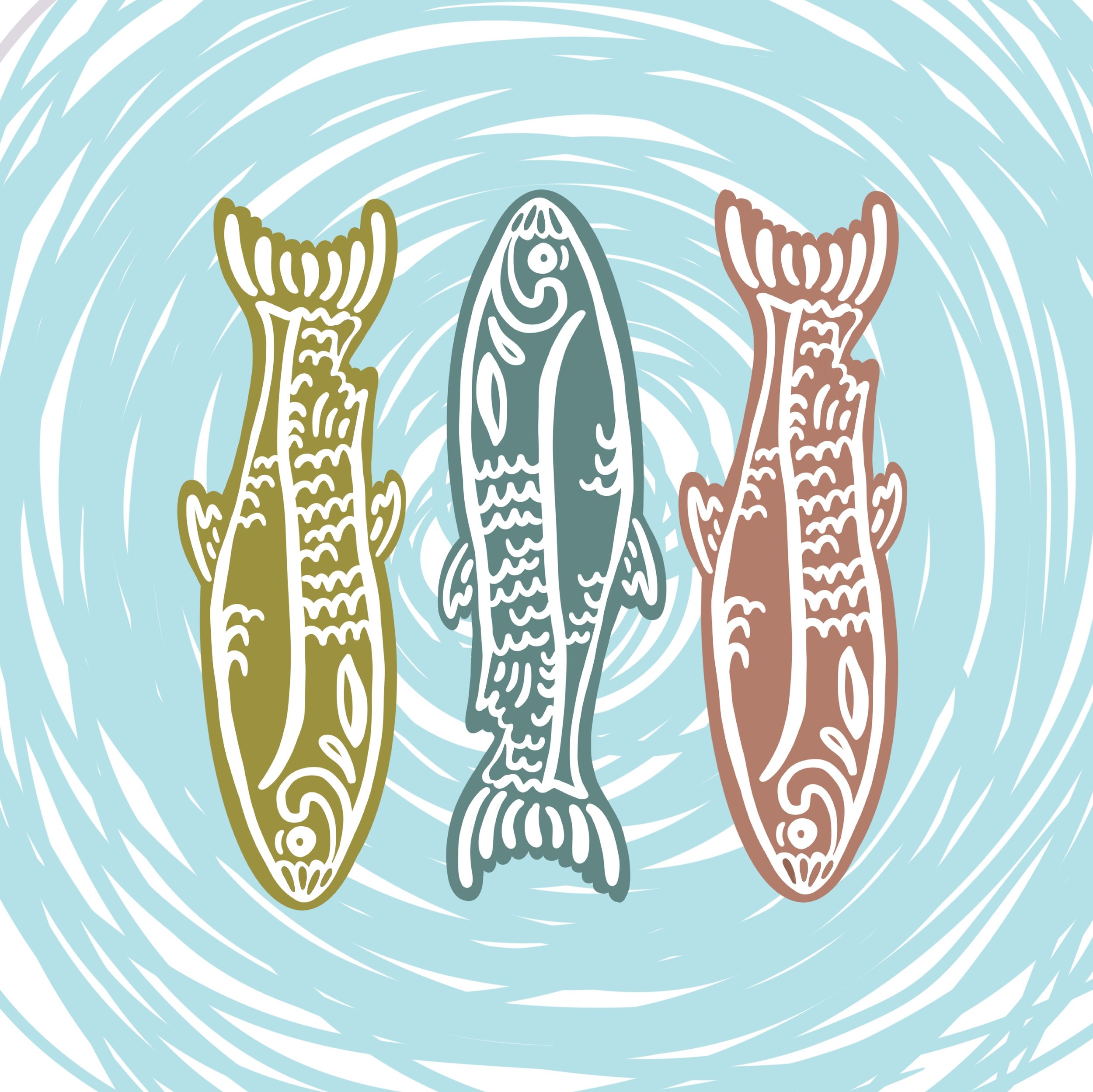 PNW Salmon Illustration