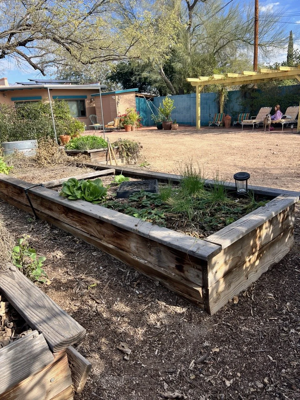 These wooden beds were 15 years old, and we were going to redesign this whole space, so time to replace them.