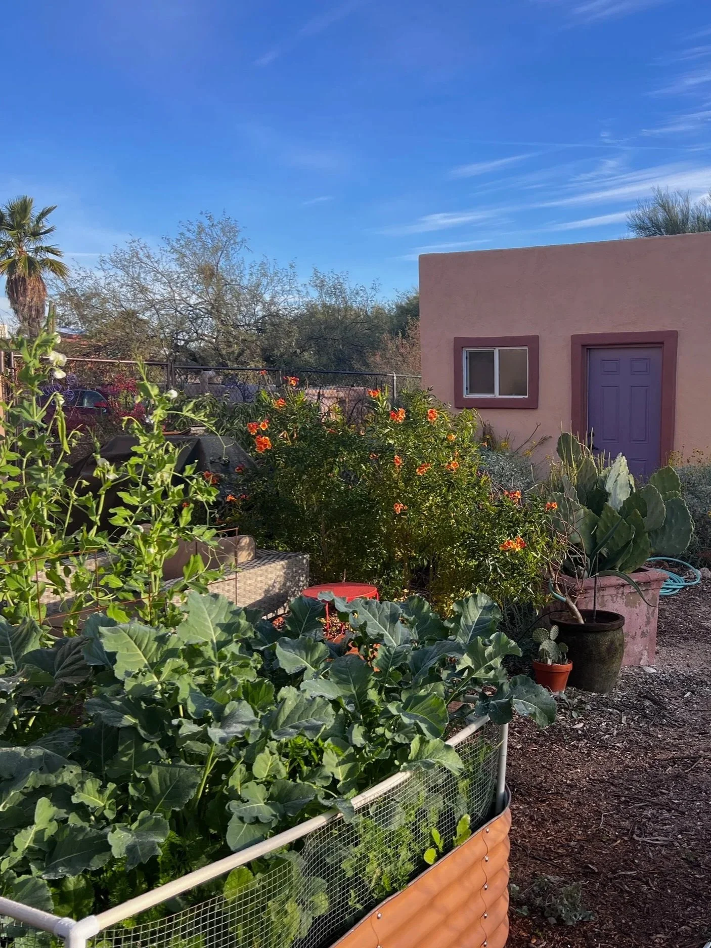 Edible and Ecological Gardens