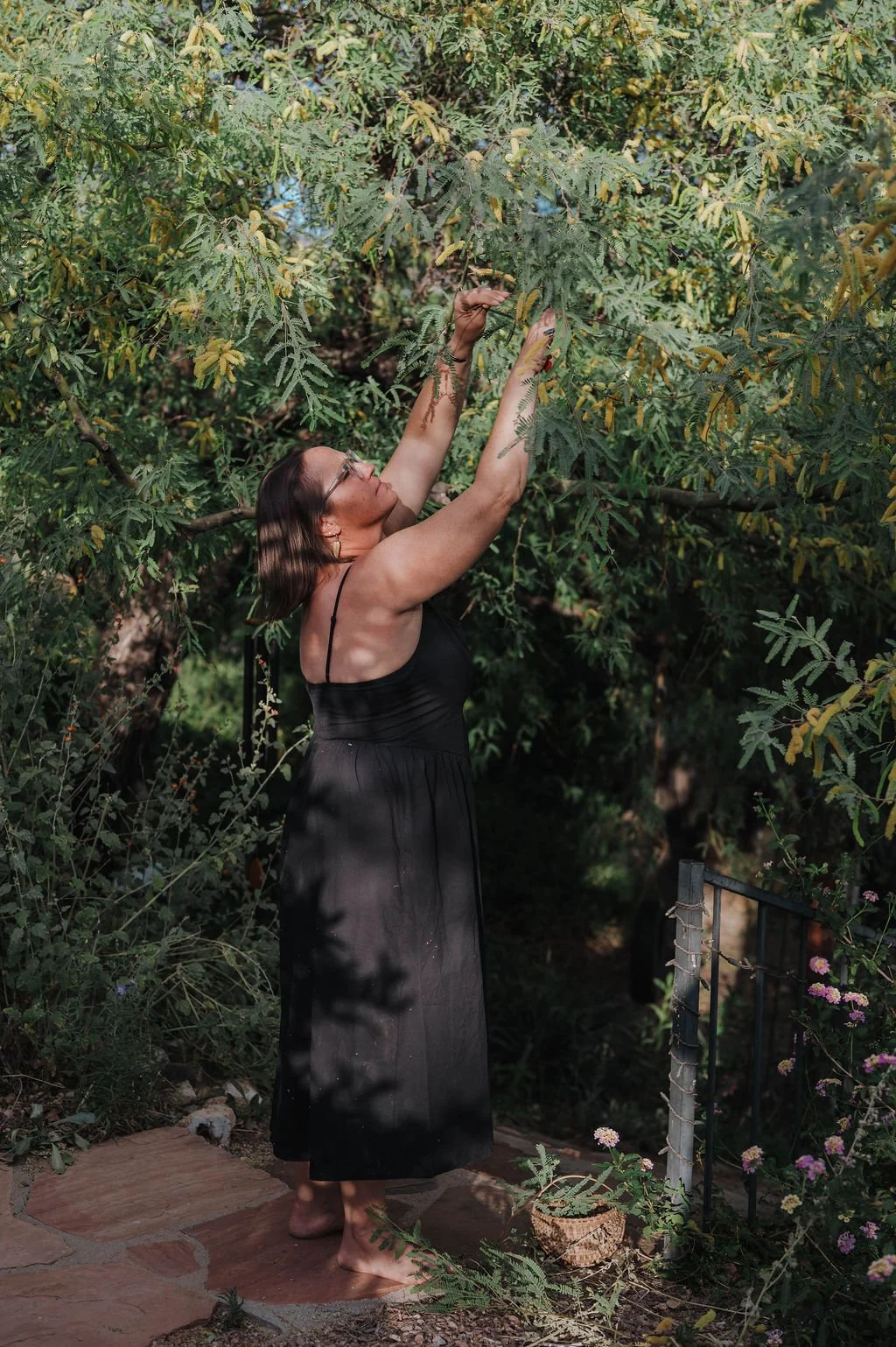 Fall Gardening in Tucson:  Finding joy in the garden again