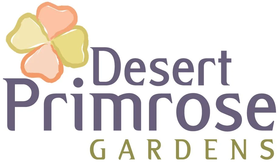 Desert Primrose Gardens 