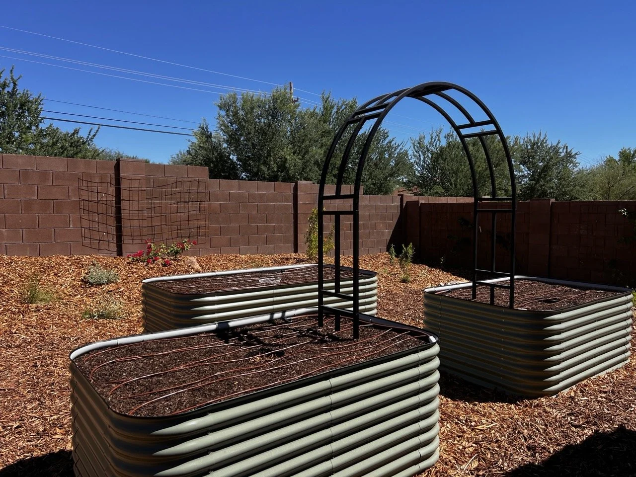 Raised beds tall.jpeg