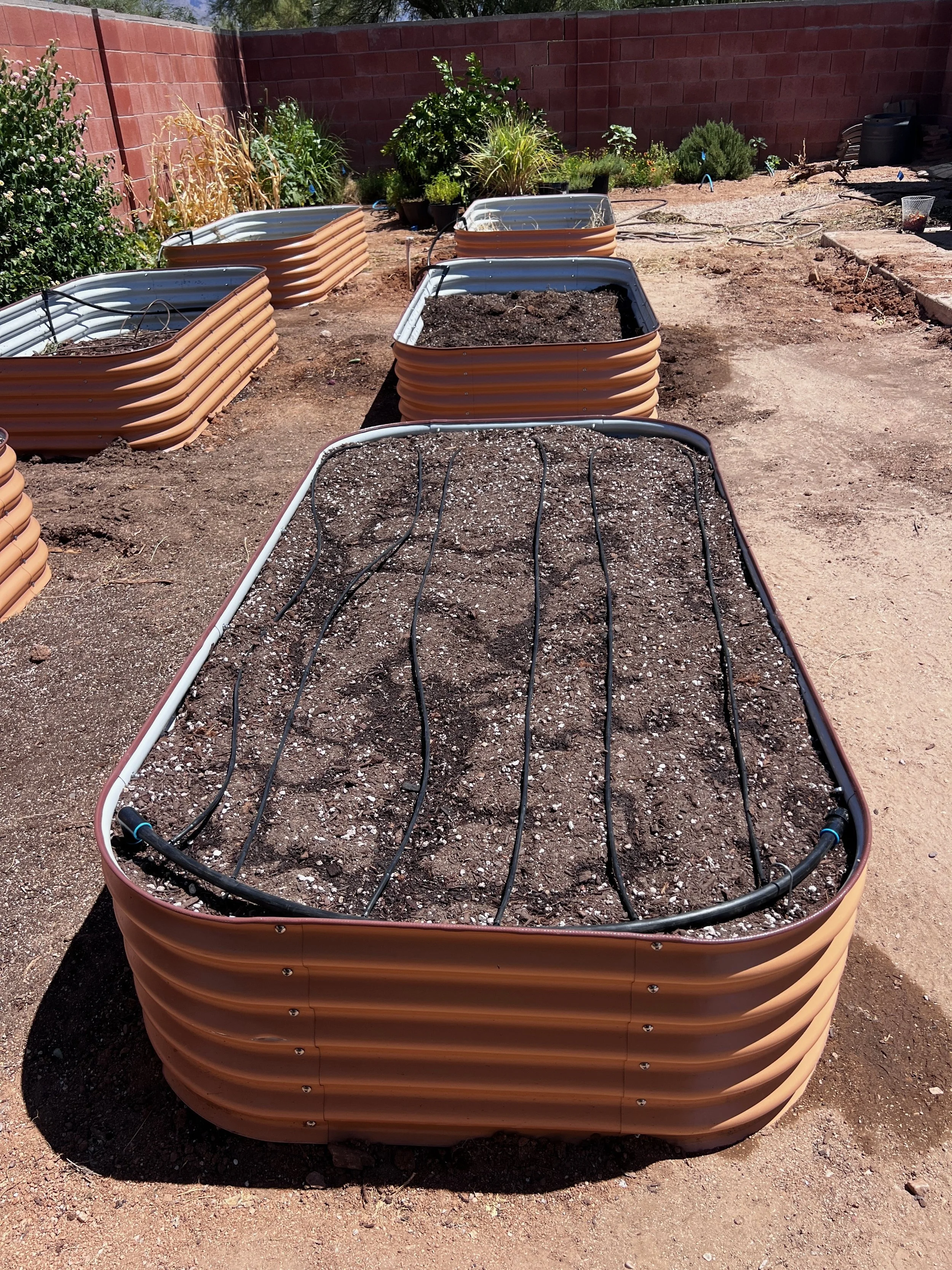 Adding drip irrigation is essential for even and reliable watering a vegetable garden