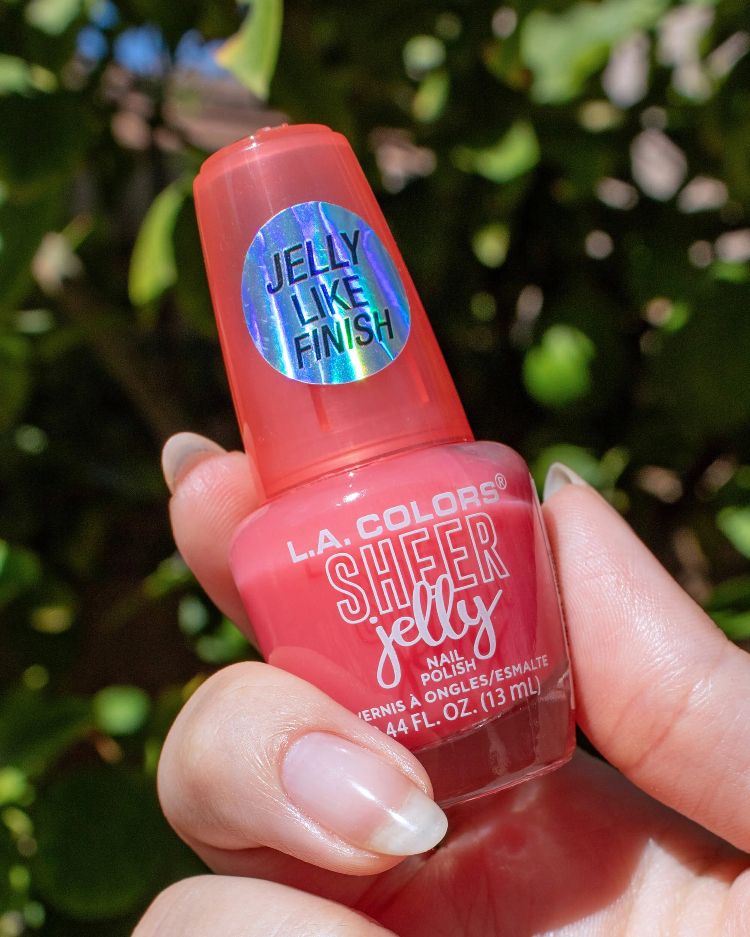 1_sheer_jelly.jpg
