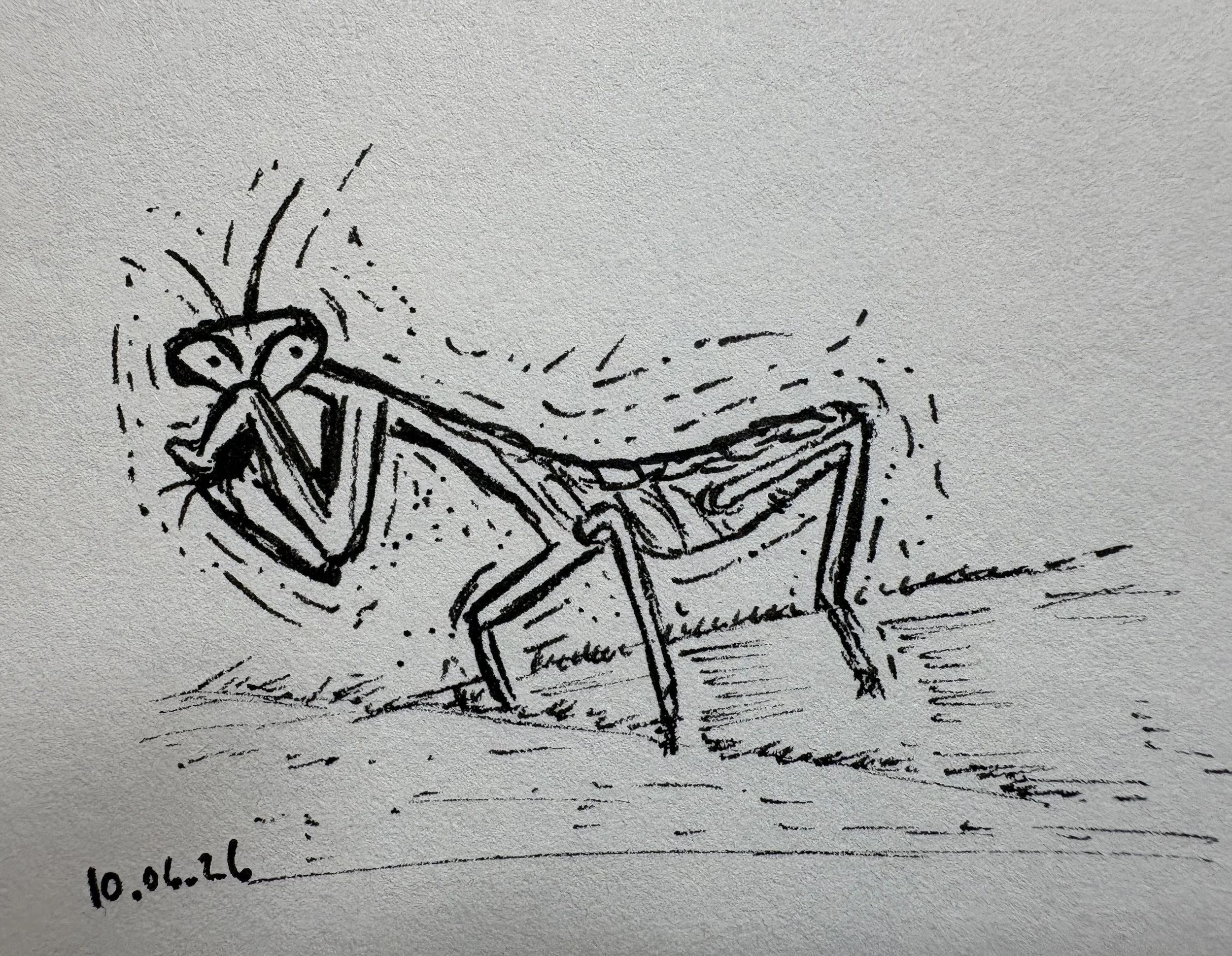 Interrupted praying mantis doodle (October 2026)