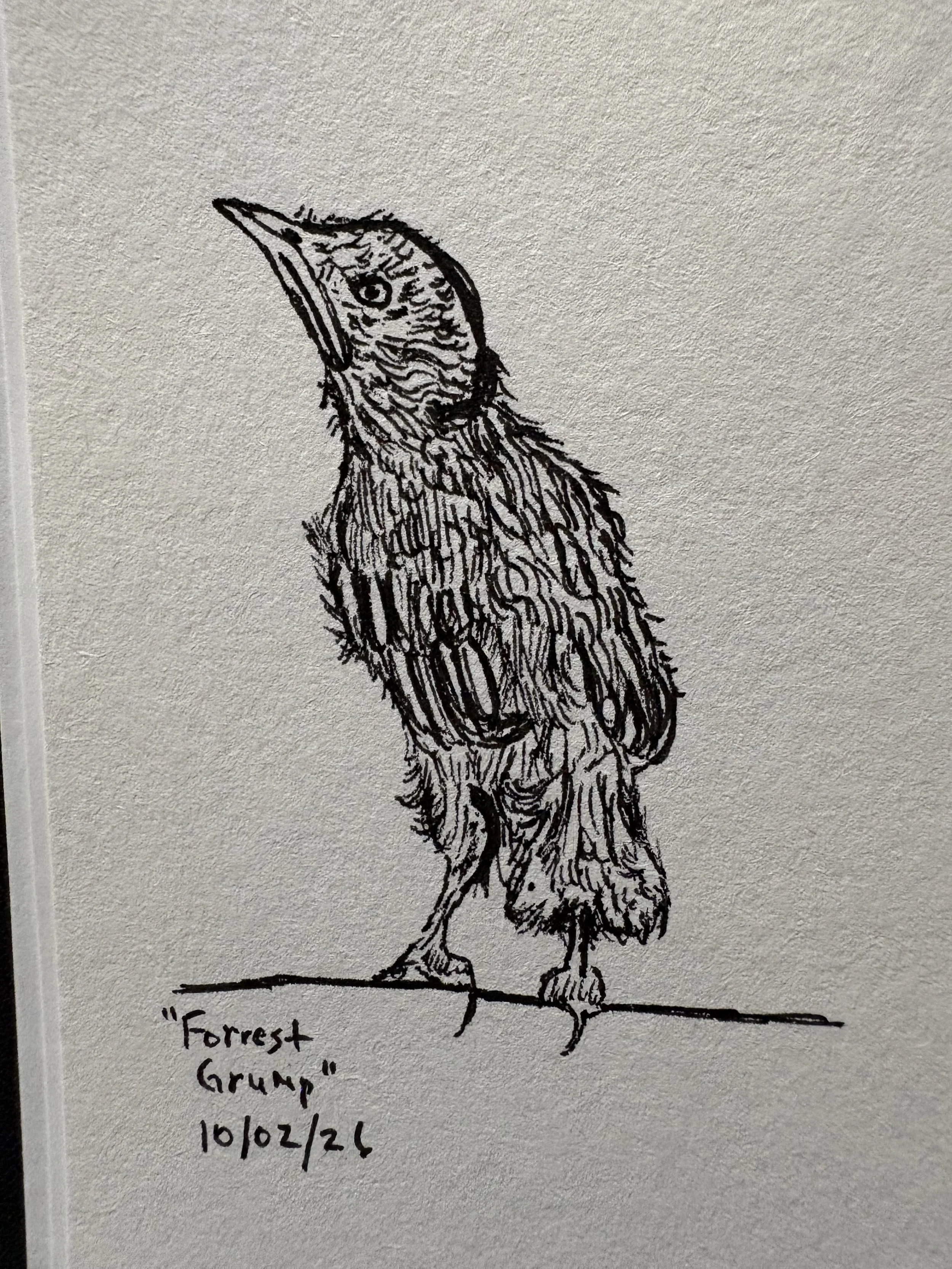 Quick Forrest Grump doodle (October 2026)
